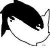 Scplogo2.jpg (21125 bytes)